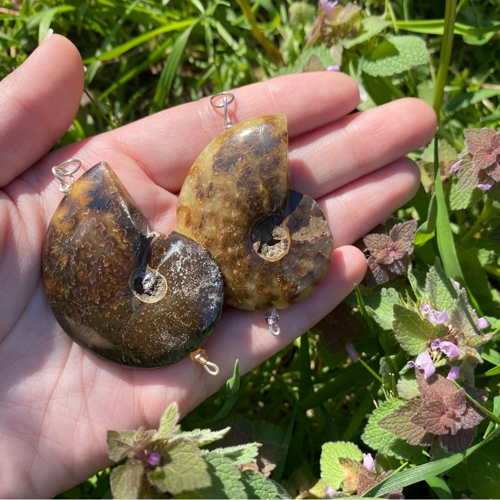 Ammonite Pendant